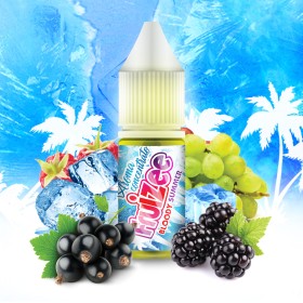 Fruizee Flavor Concentrated Bluddy Sammer  10ml