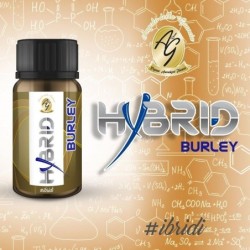 Angolo della Guancia Hybrid Flavor Burley 10ml
